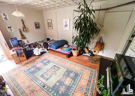 a living room with furniture and a potted plant