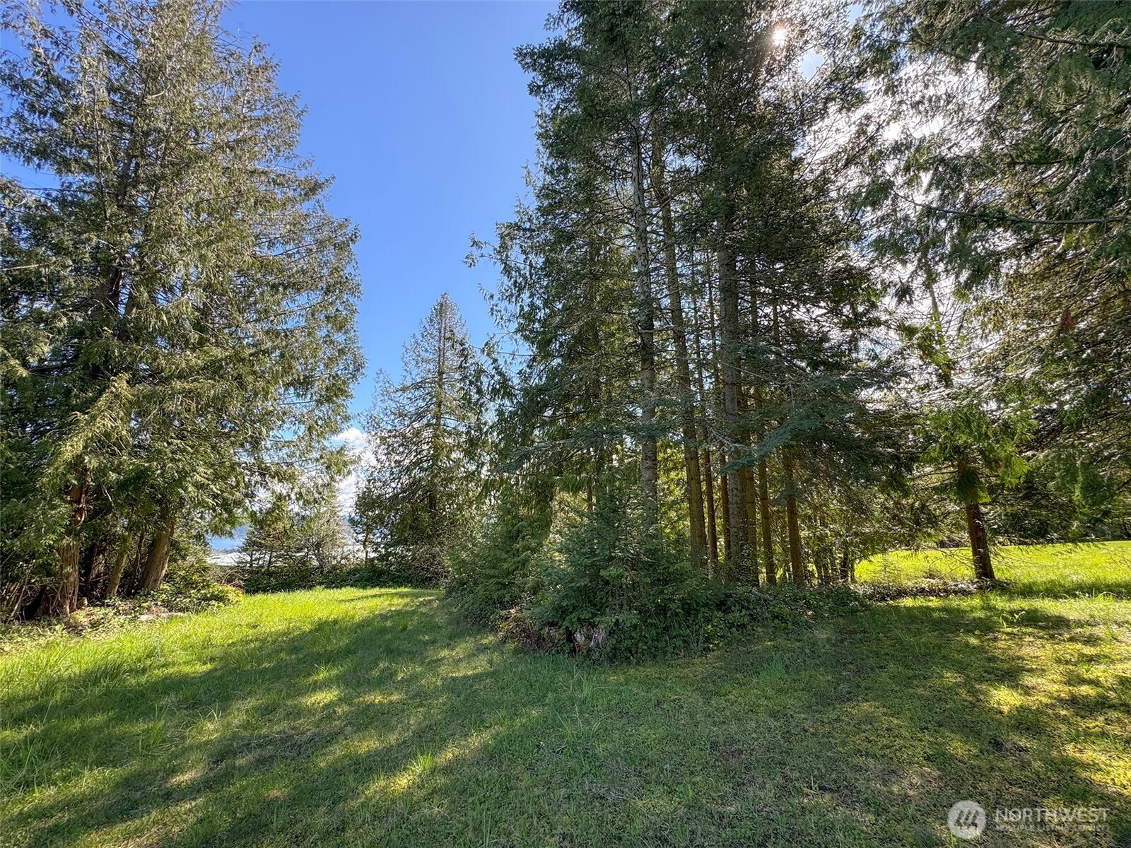 9999 Elk Pass Road Sequim, WA 98382 - Photo 31 of 40