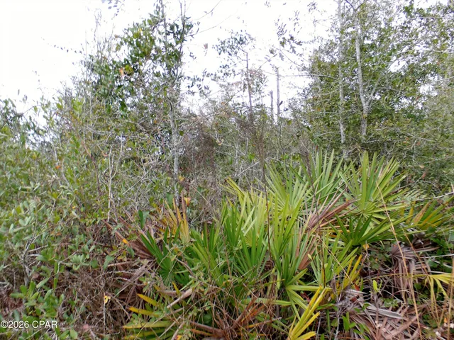 $42,900 | 0 Klondyke Road, Youngstown, FL 32466