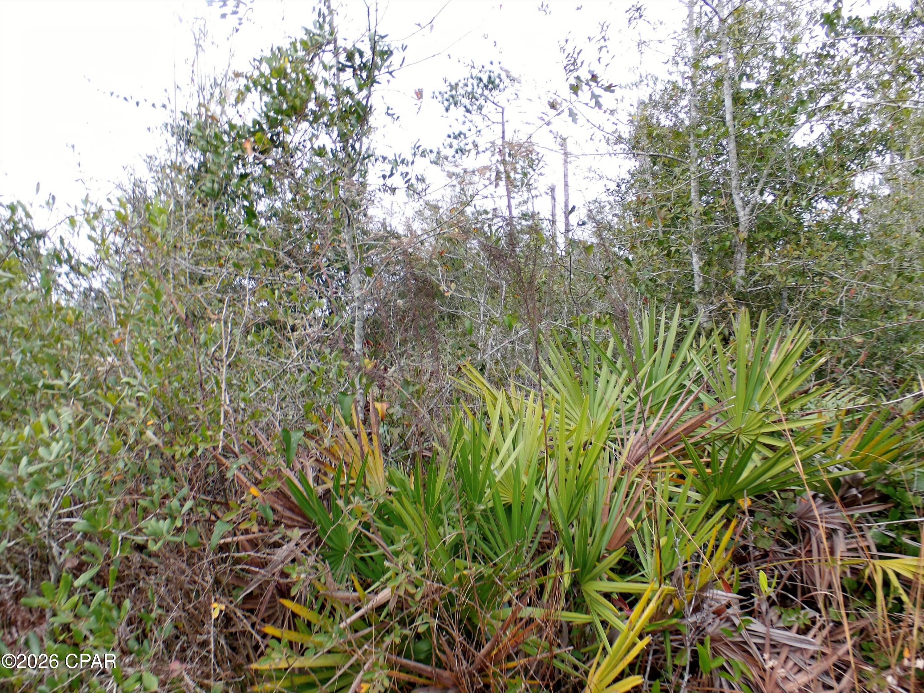 0 Klondyke Road Youngstown, FL 32466 - Photo 3 of 7