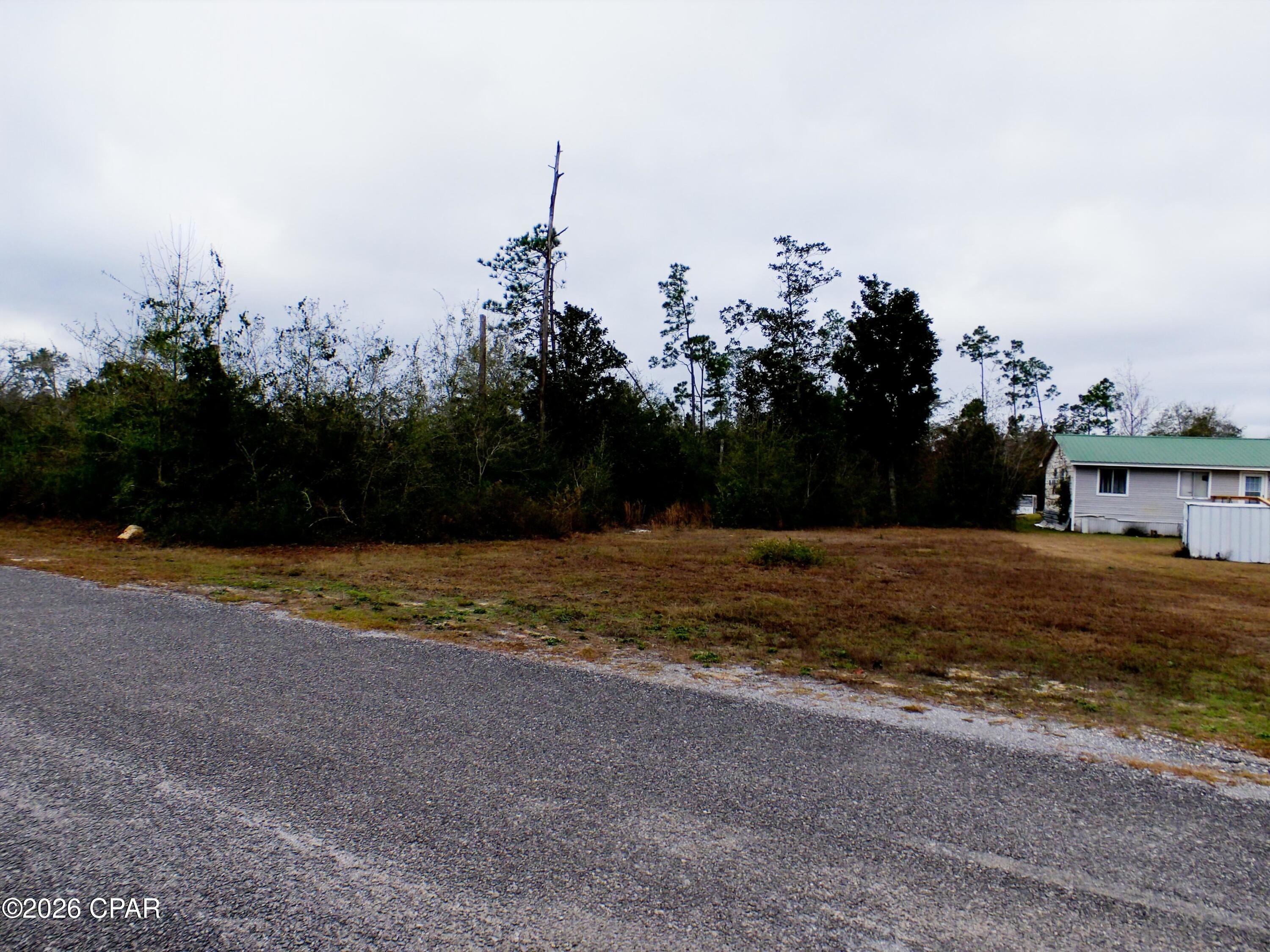 0 Klondyke Road Youngstown, FL 32466 - Photo 4 of 7