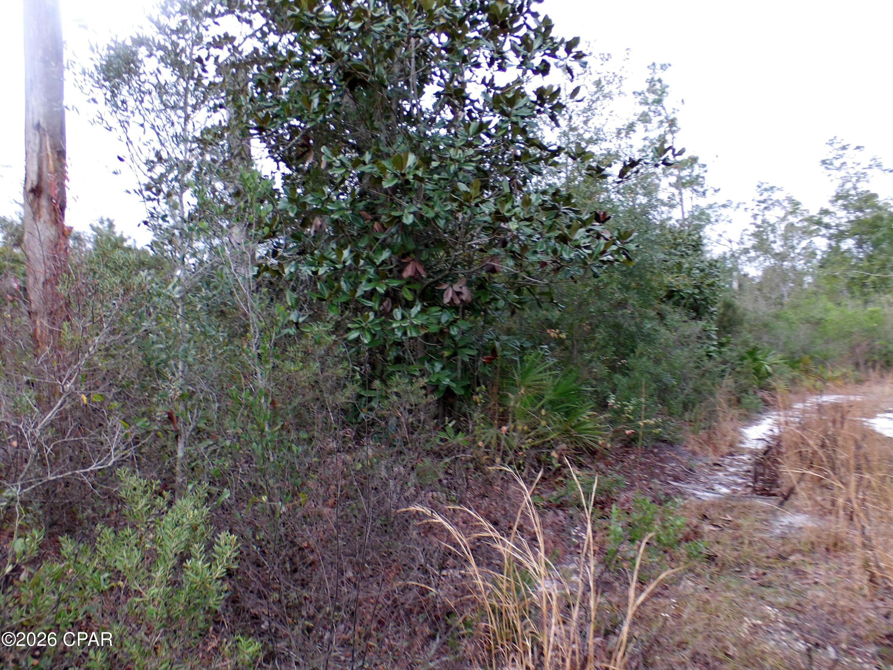 0 Klondyke Road Youngstown, FL 32466 - Photo 5 of 7