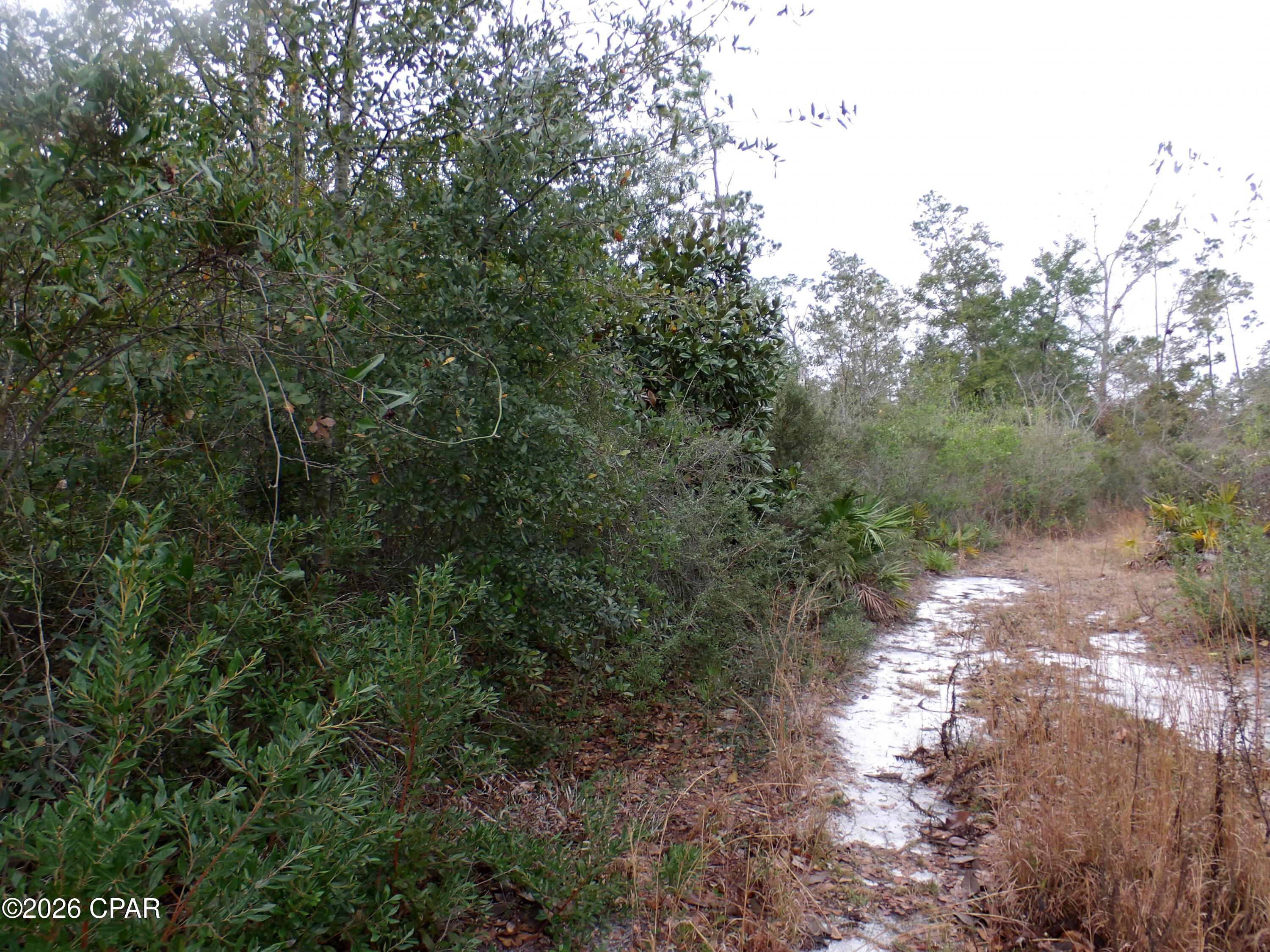 0 Klondyke Road Youngstown, FL 32466 - Photo 7 of 12