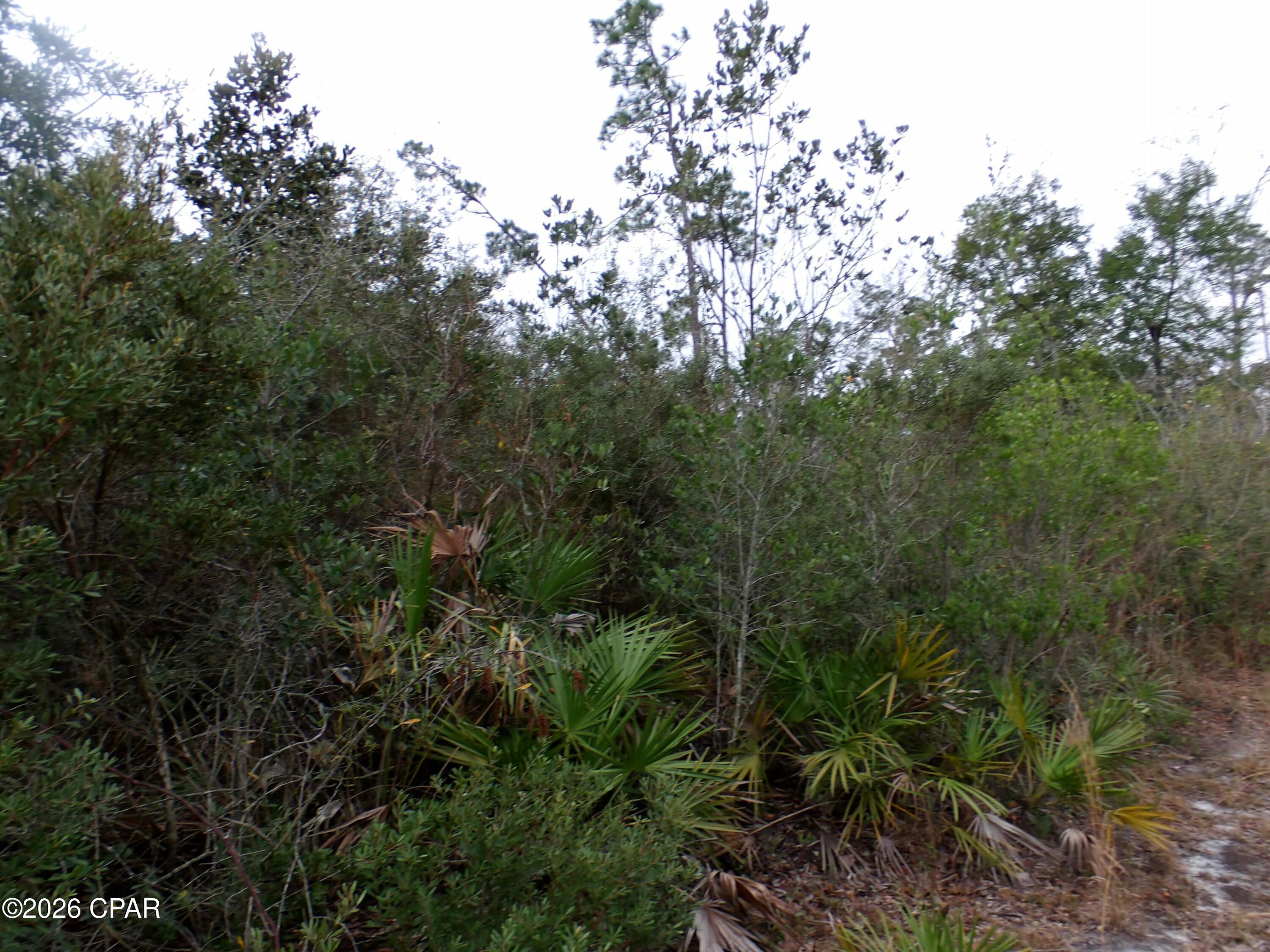 0 Klondyke Road Youngstown, FL 32466 - Photo 8 of 12