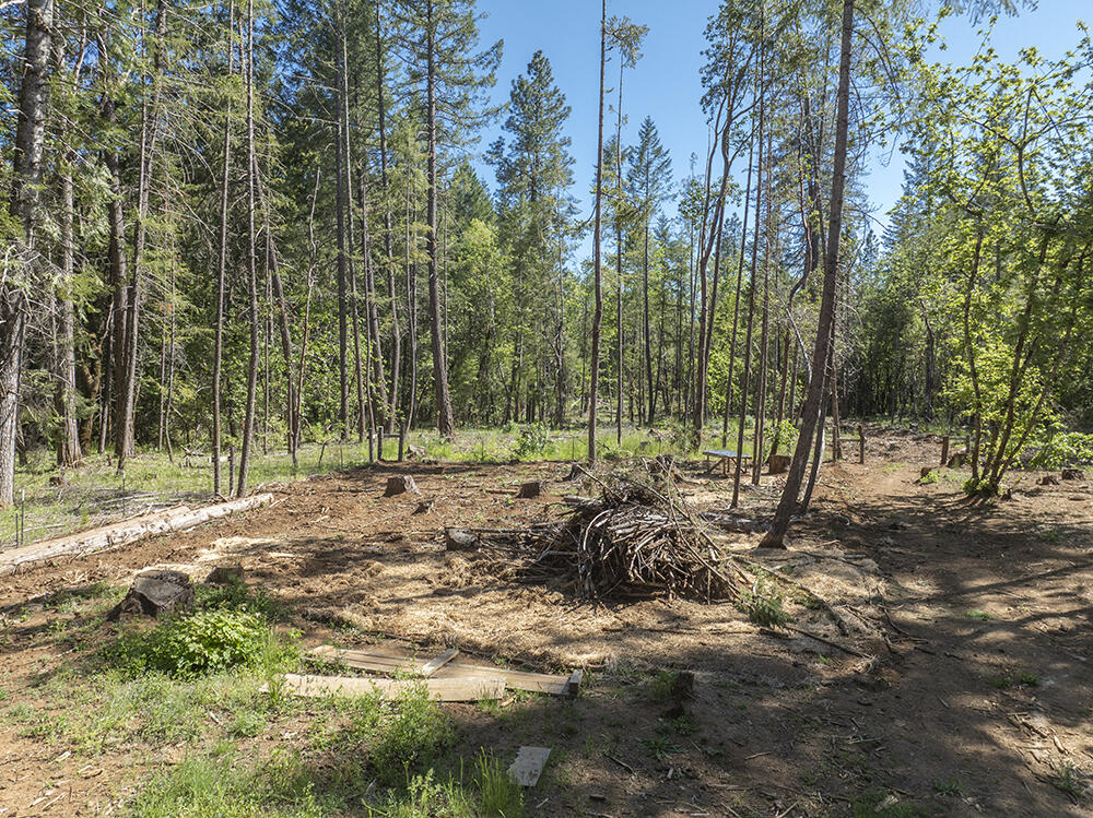 382 Garner Road Cave Junction, OR 97523 - Photo 10 of 38 a view of outdoor space with trees