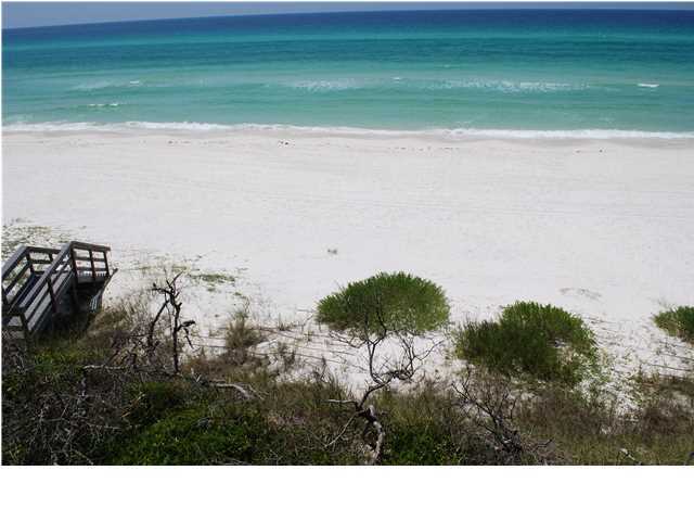 5 Winston Ln Inlet Beach Inlet Beach, FL 32461 - Photo 7 of 12 a view of a backyard