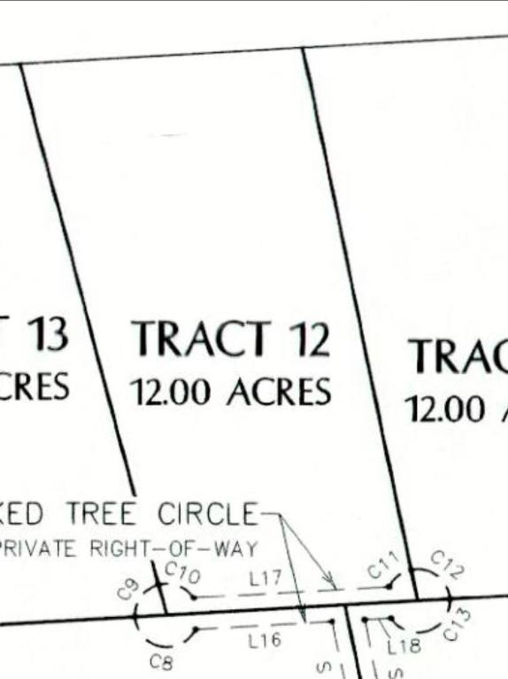 Tbd Tbd Crooked Tree Circle Harper, TX 78631 - Photo 6 of 8 Map / location of property area