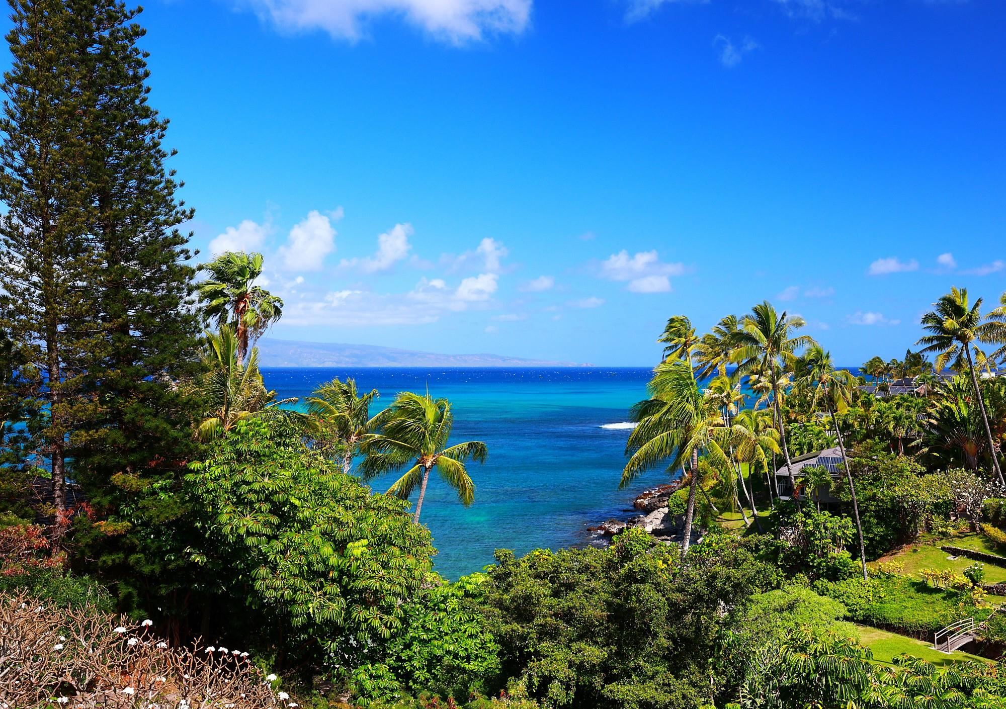 5045 Lower Honoapiilani Road, Unit 9 Lahaina, HI 96761 - Photo 17 of 50 a view of a garden