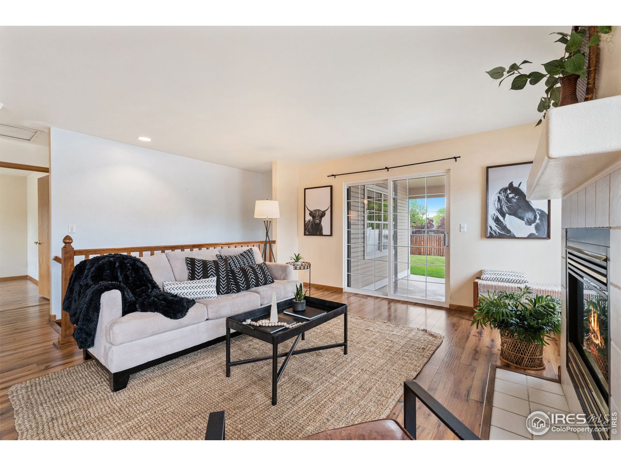 3036 Antelope Road Fort Collins, CO 80525 - Photo 6 of 27 Gallery Image 6