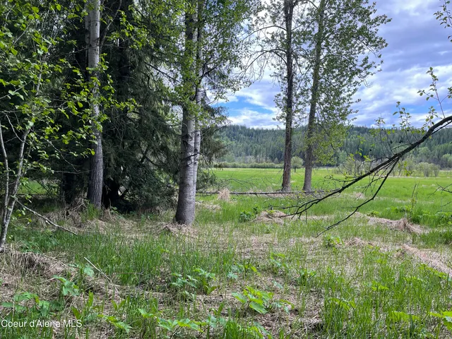 $249,000 | Nna Nna High Meadow Drive, Priest River, ID 83856