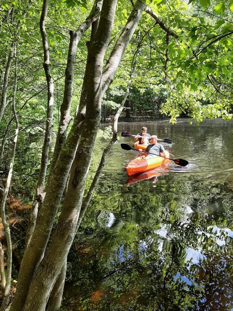 905 Neptune Trail Appling, GA 30802 - Photo 11 of 14 20240410204555462347000000-o
