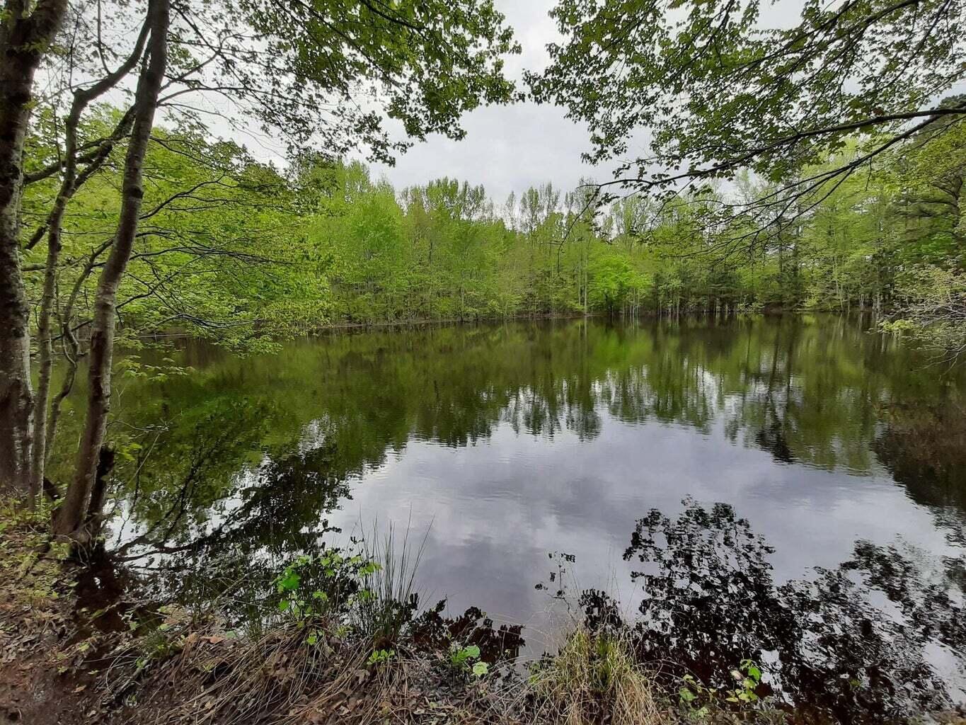 905 Neptune Trail Appling, GA 30802 - Photo 4 of 14 20240410161017682696000000-o