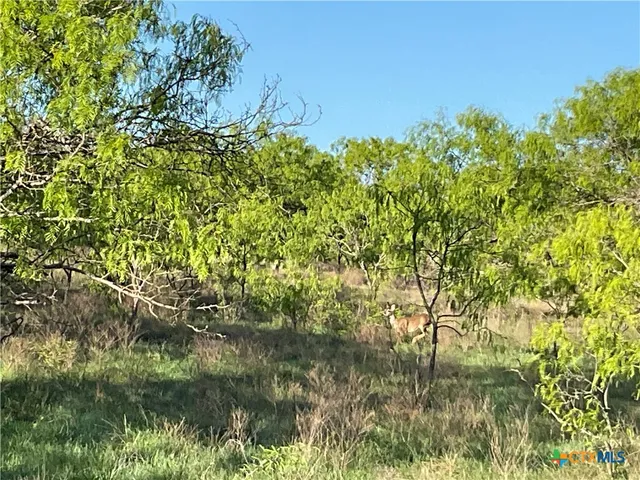 $410,500 | 850 Kellogg Road, Copperas Cove, TX 76522