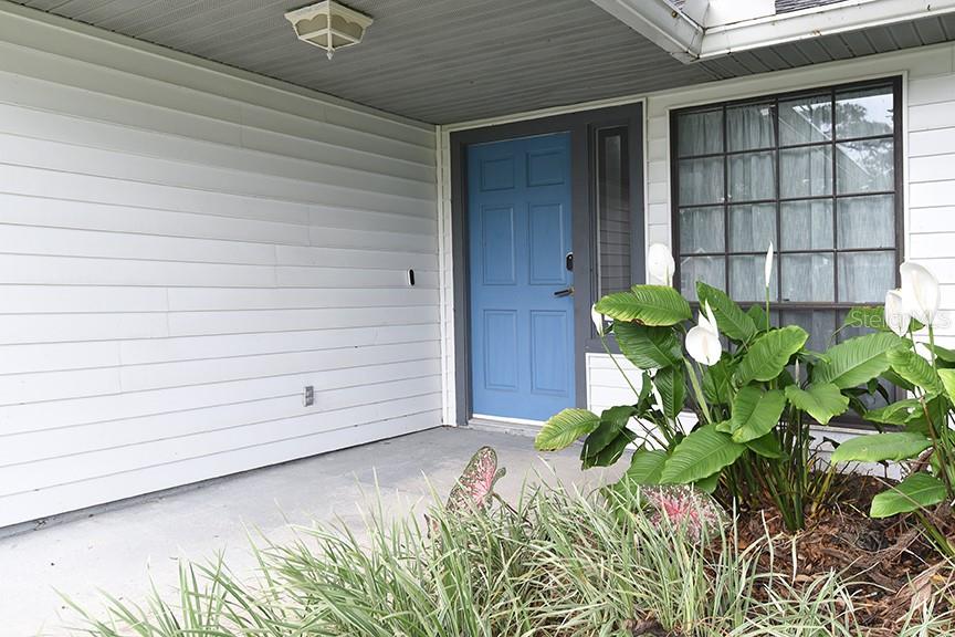 2213 Pine Tree Drive Edgewater, FL 32141 - Photo 2 of 42