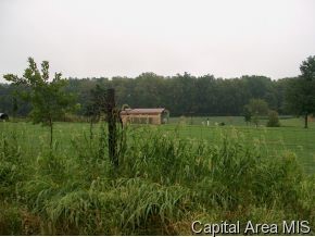 18500 Cox Road Auburn, IL 62615 - Photo 4 of 6