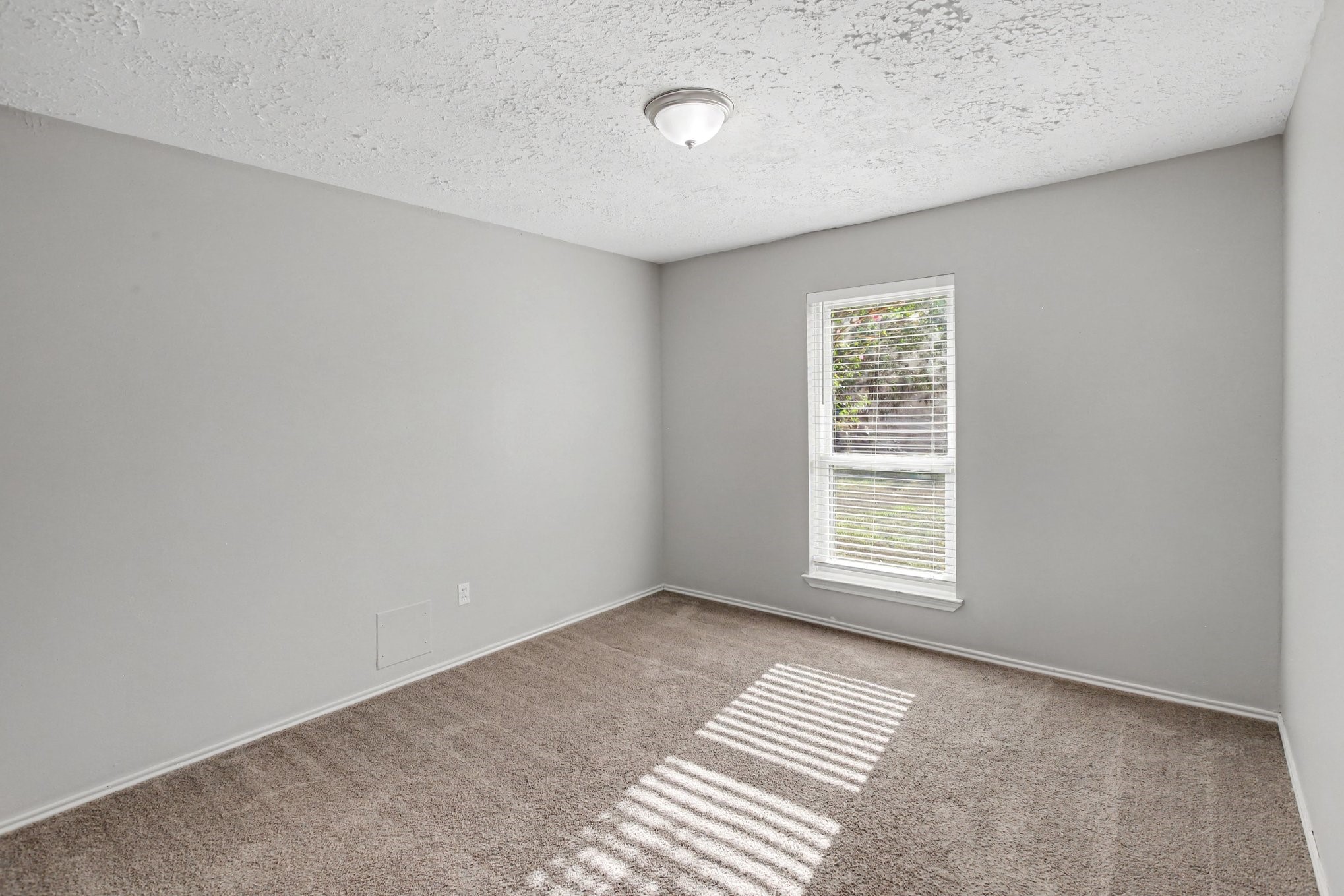 24234 Azure Sky Drive Spring, TX 77373 - Photo 11 of 15 Gallery Image 11