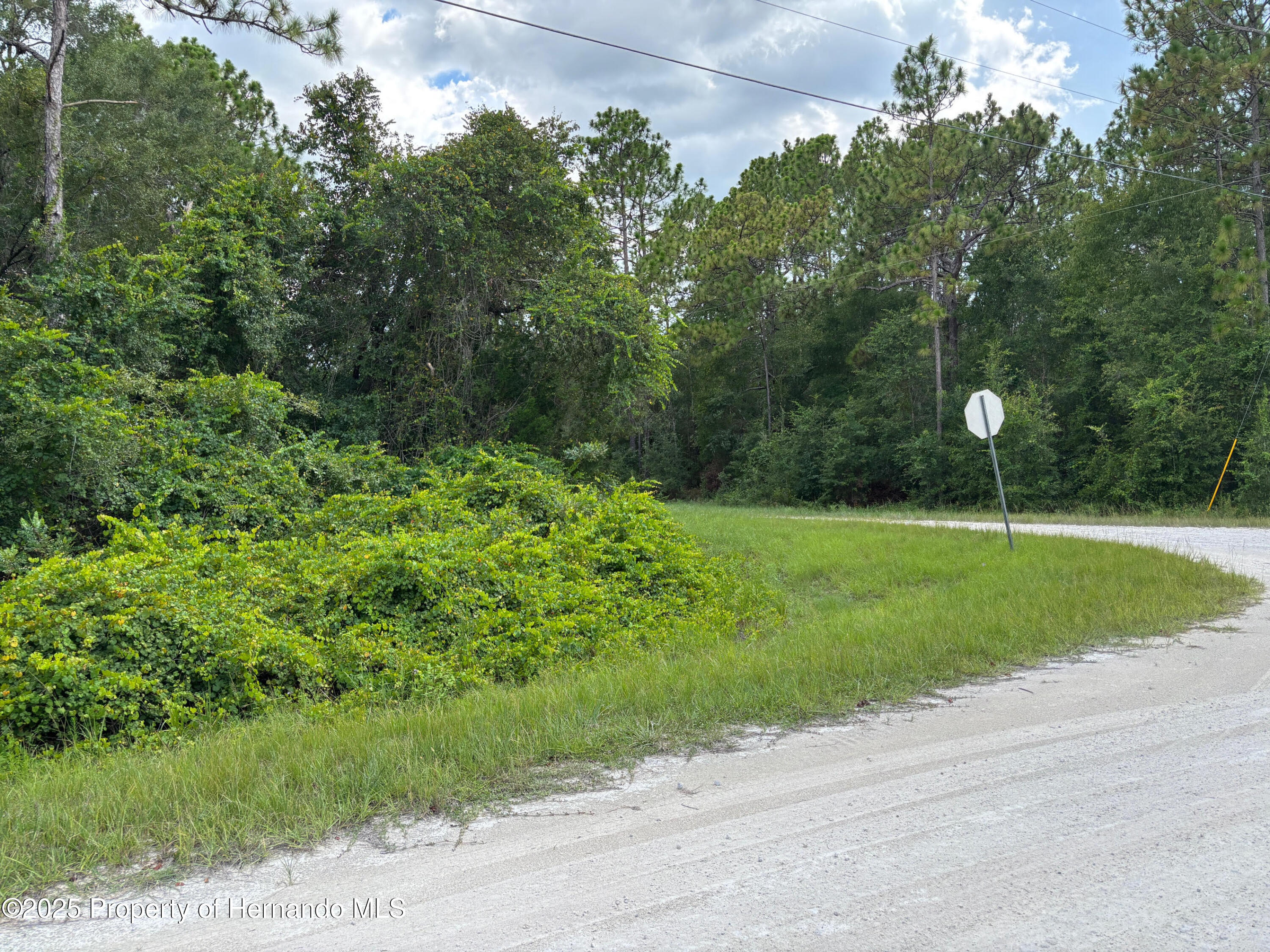 Lot 1 Canvasback Road Weeki Wachee, FL 34614 - Photo 5 of 11