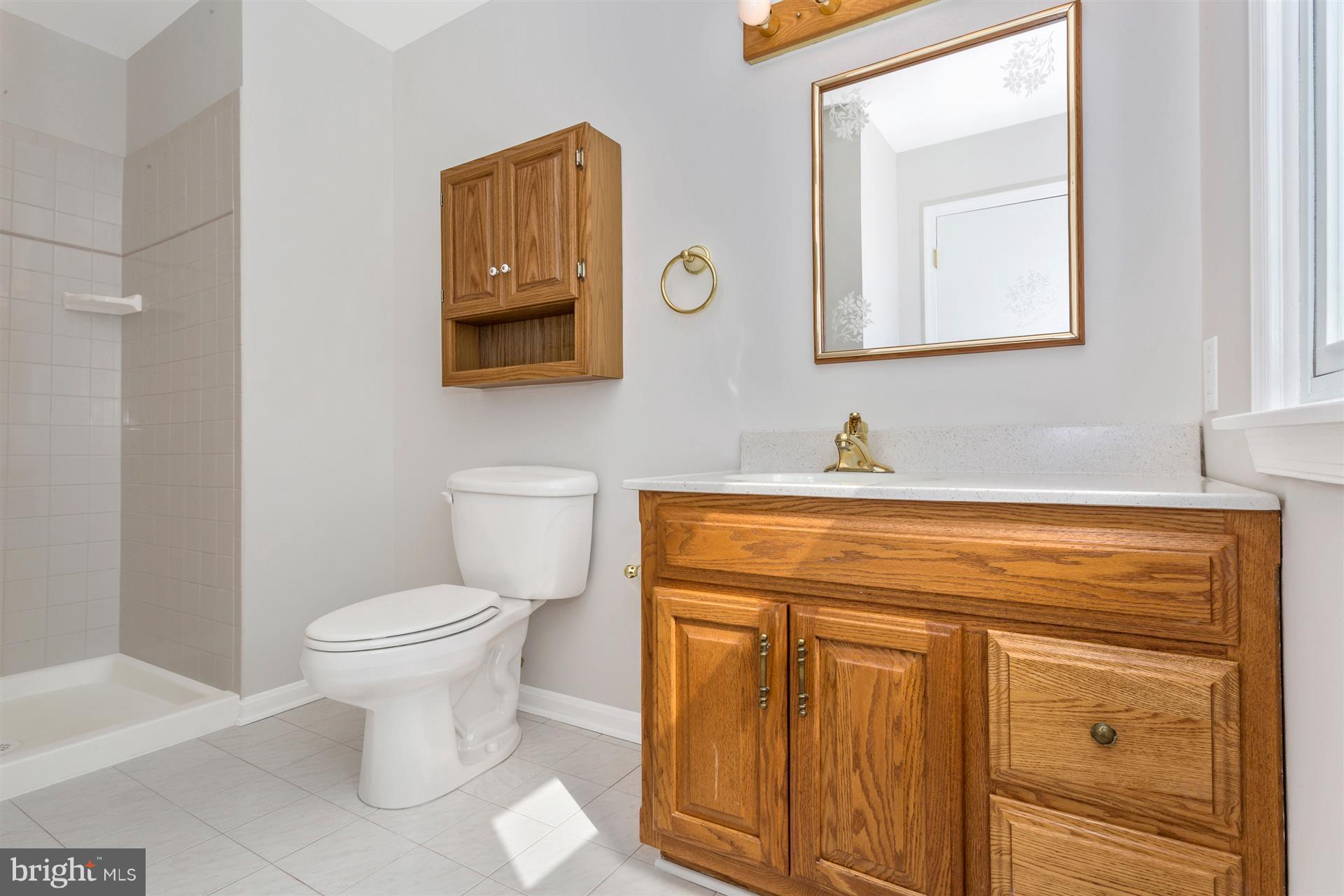 7909 Chestnut Grove Road Frederick, MD 21701 - Photo 17 of 30 Bath (Master)