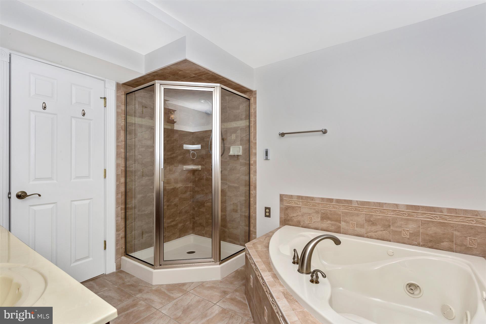 7909 Chestnut Grove Road Frederick, MD 21701 - Photo 21 of 30 Separate shower and tub lower level