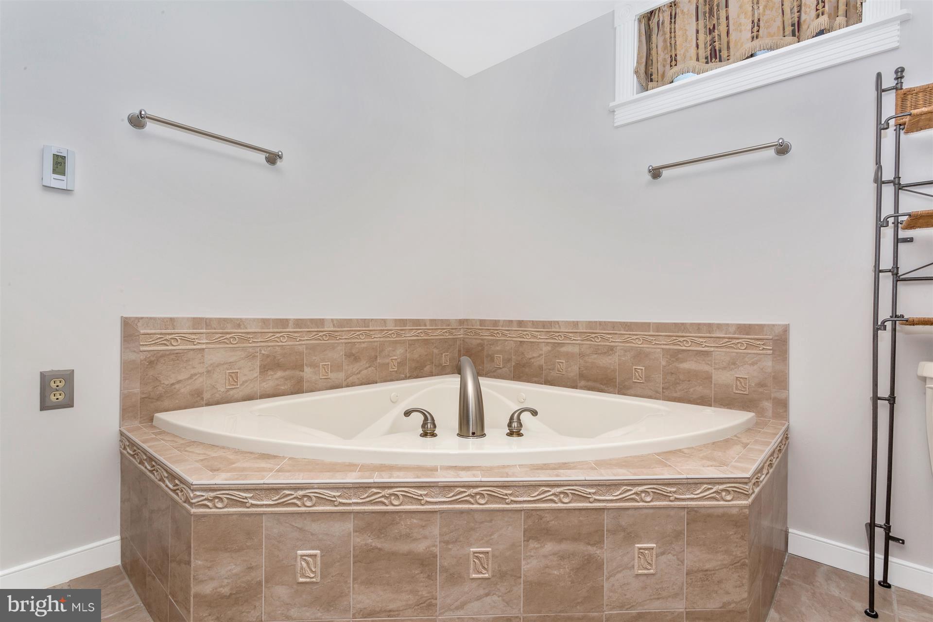 7909 Chestnut Grove Road Frederick, MD 21701 - Photo 22 of 30 Jetted tub in lower level bath