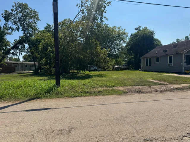 a view of a park with large trees