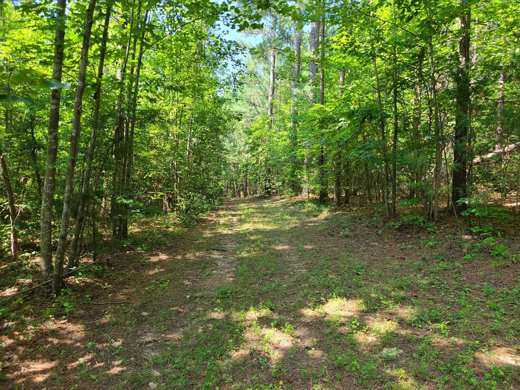663 Tomlinson Road, Unit 3 Victoria, VA 23974 - Photo 47 of 62 Gallery Image 47