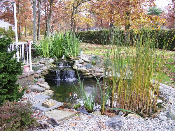 137 Wolf Swamp Road Longmeadow, MA 01106 - Photo 3 of 5 Gallery Image 3