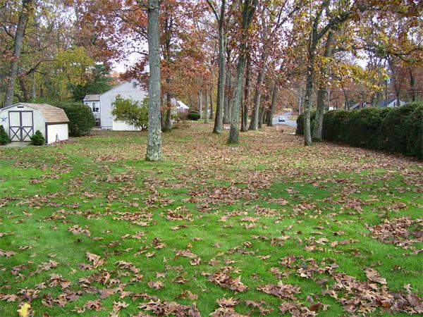 137 Wolf Swamp Road Longmeadow, MA 01106 - Photo 5 of 5 Gallery Image 5