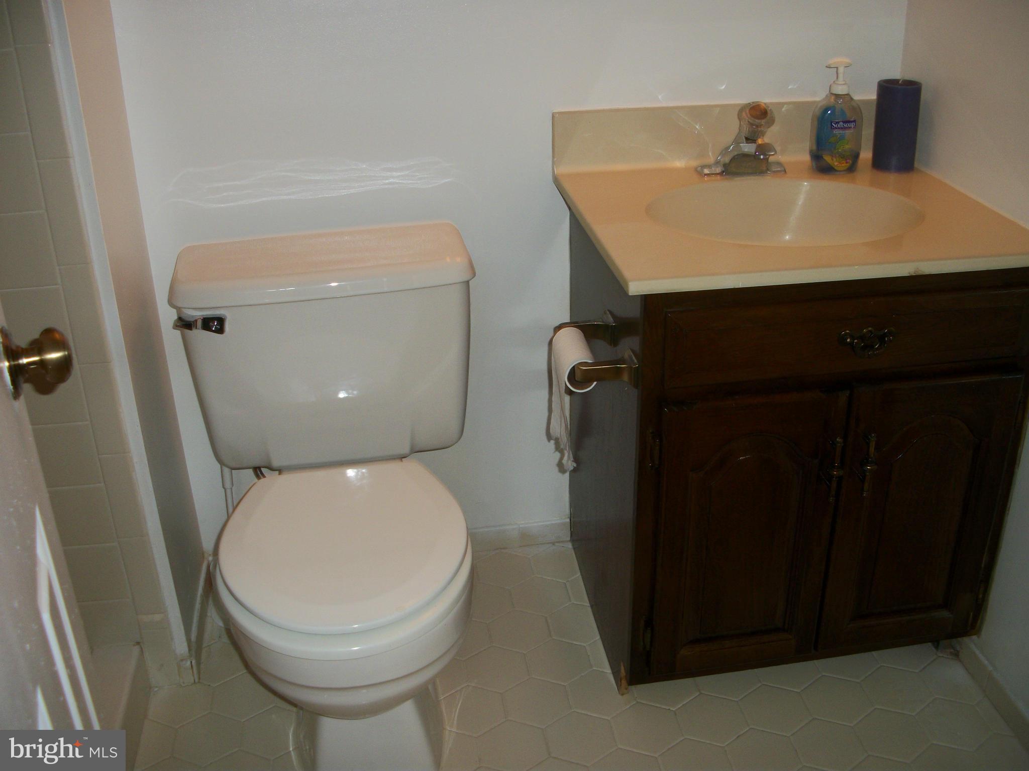 7108 Rivers Edge Road Columbia, MD 21044 - Photo 26 of 30 Bath