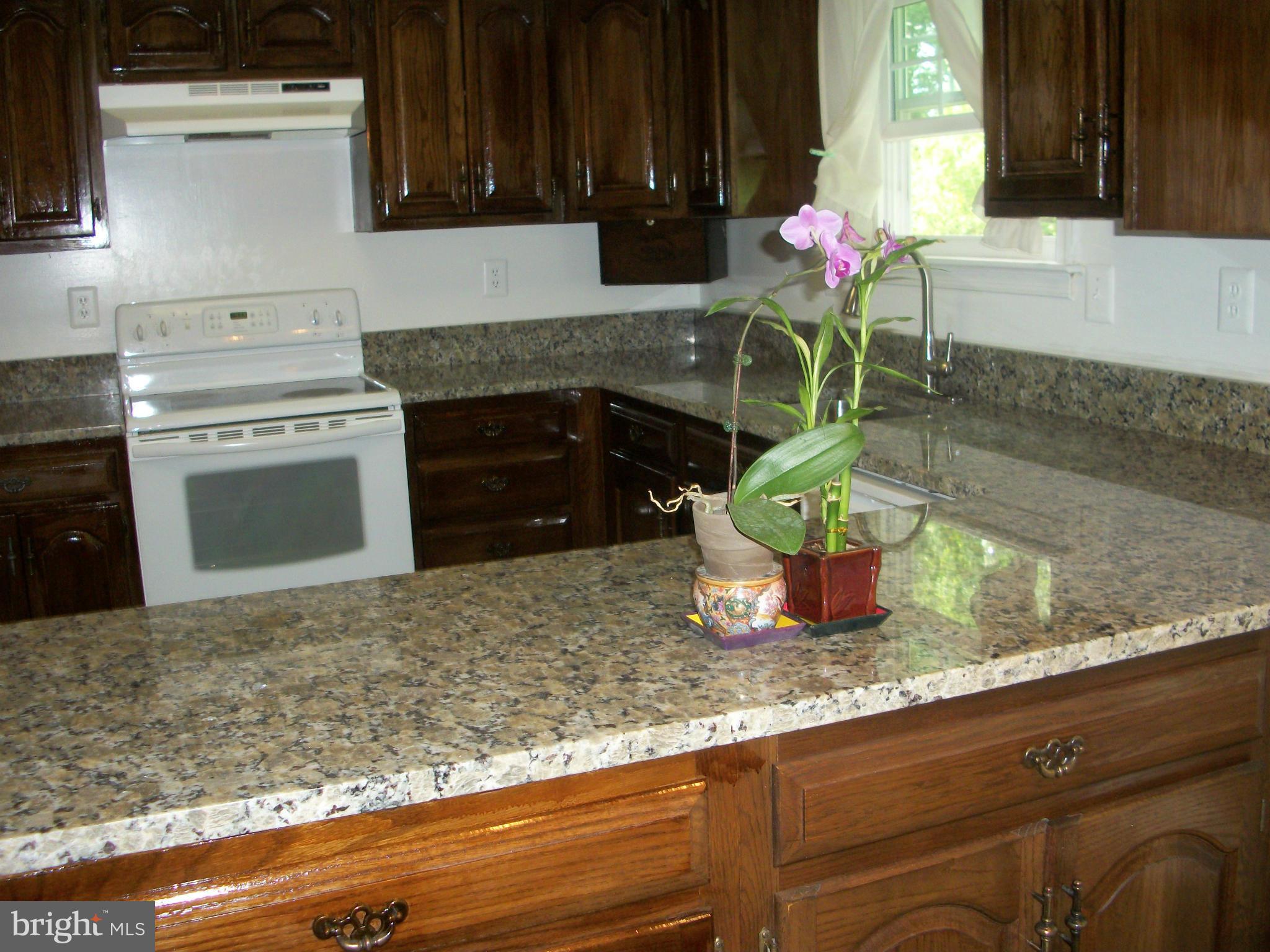 7108 Rivers Edge Road Columbia, MD 21044 - Photo 9 of 30 Kitchen