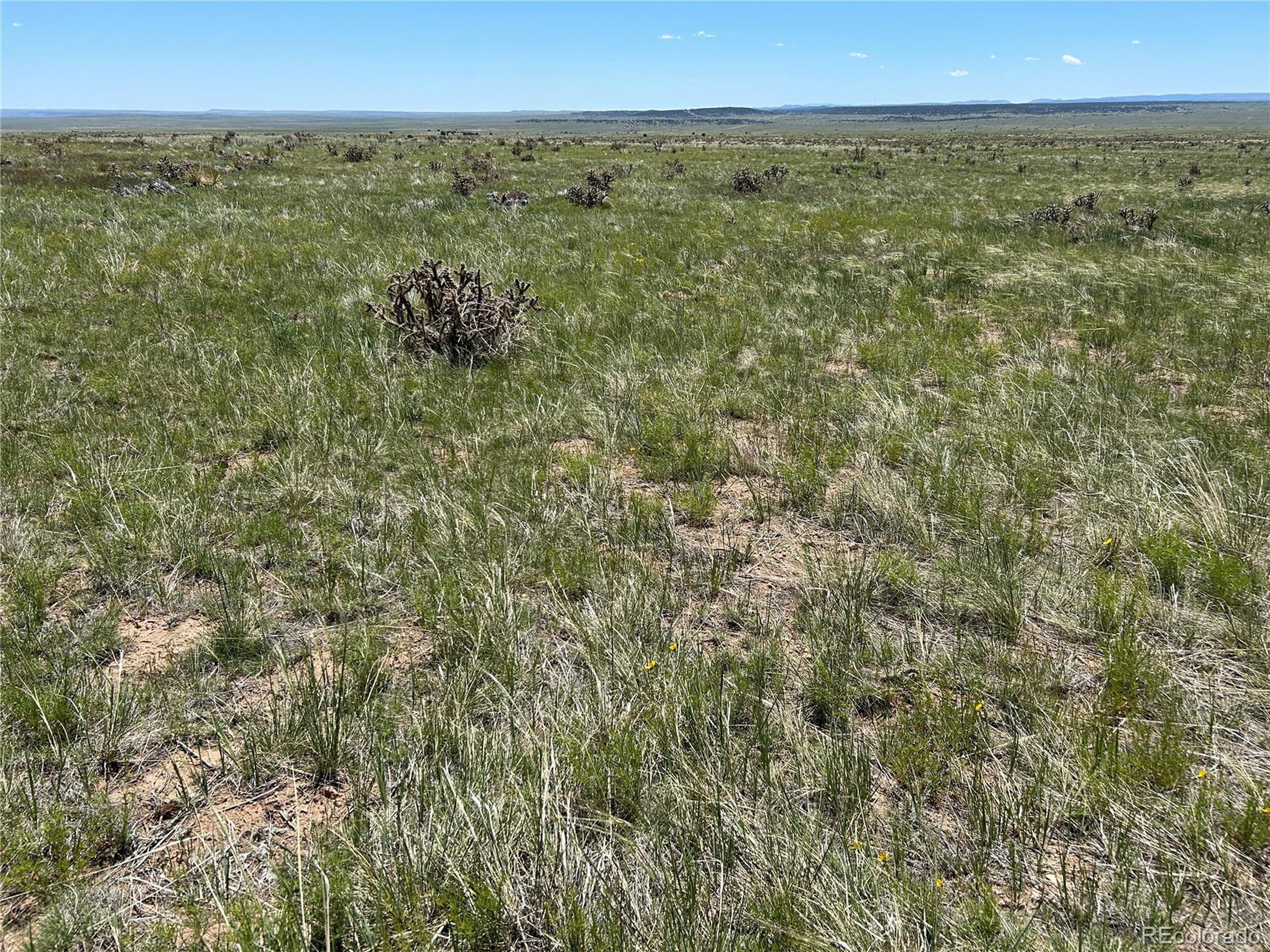 126 Cl&l Ranch, Unit G Rye, CO 81069 - Photo 11 of 16 a view of an outdoor space and a mountain view