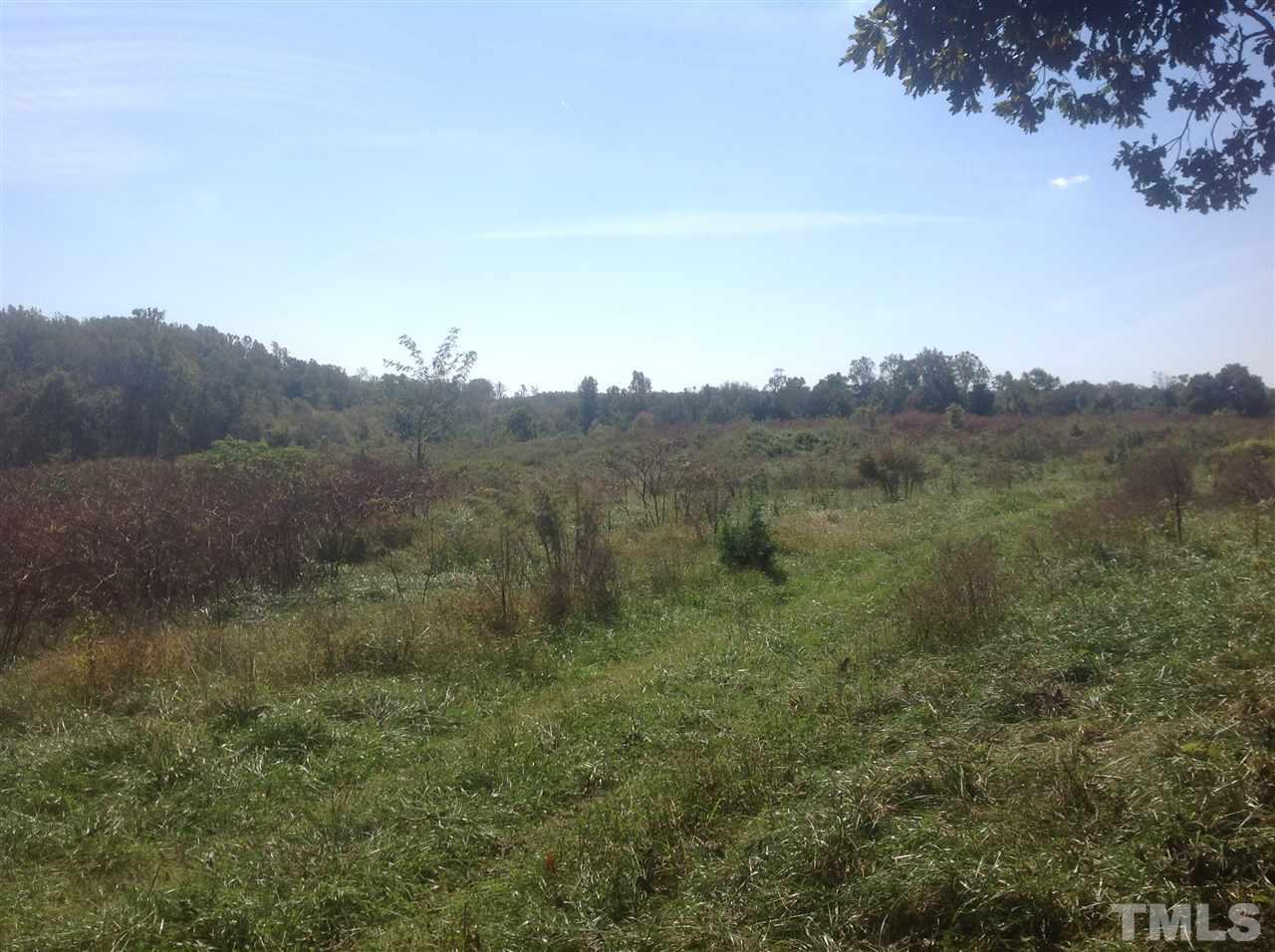 0 Kermit Duncan Road Timberlake, NC 27583 - Photo 3 of 6
