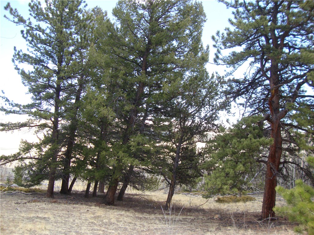 Lot 103 Redhill Road Fairplay, CO 80440 - Photo 10 of 24 Gallery Image 10