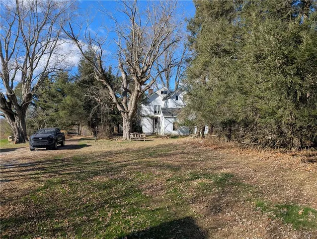 a view of a field with a tree