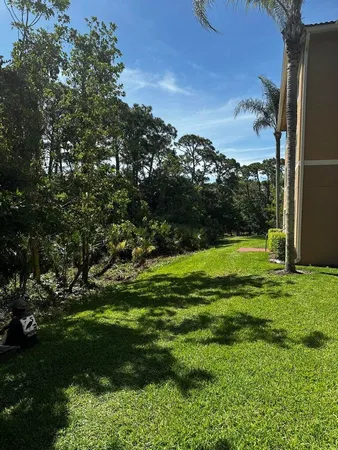 a view of a field with a tree in the background