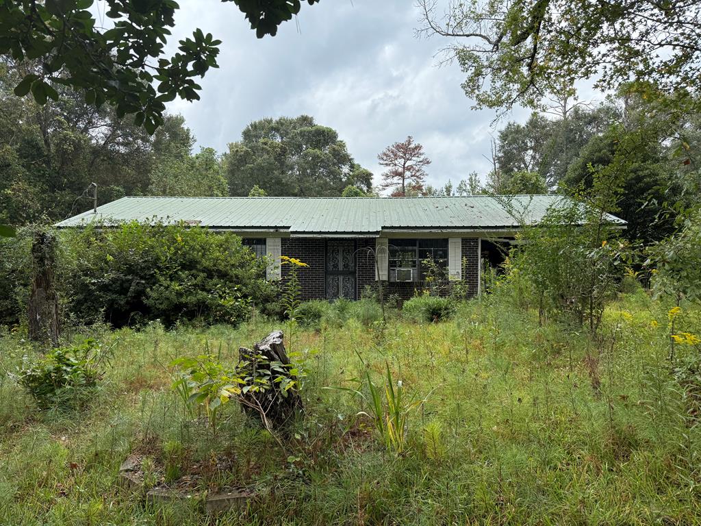 783 County Shop Road Clayton, AL 36016 - Photo 1 of 7