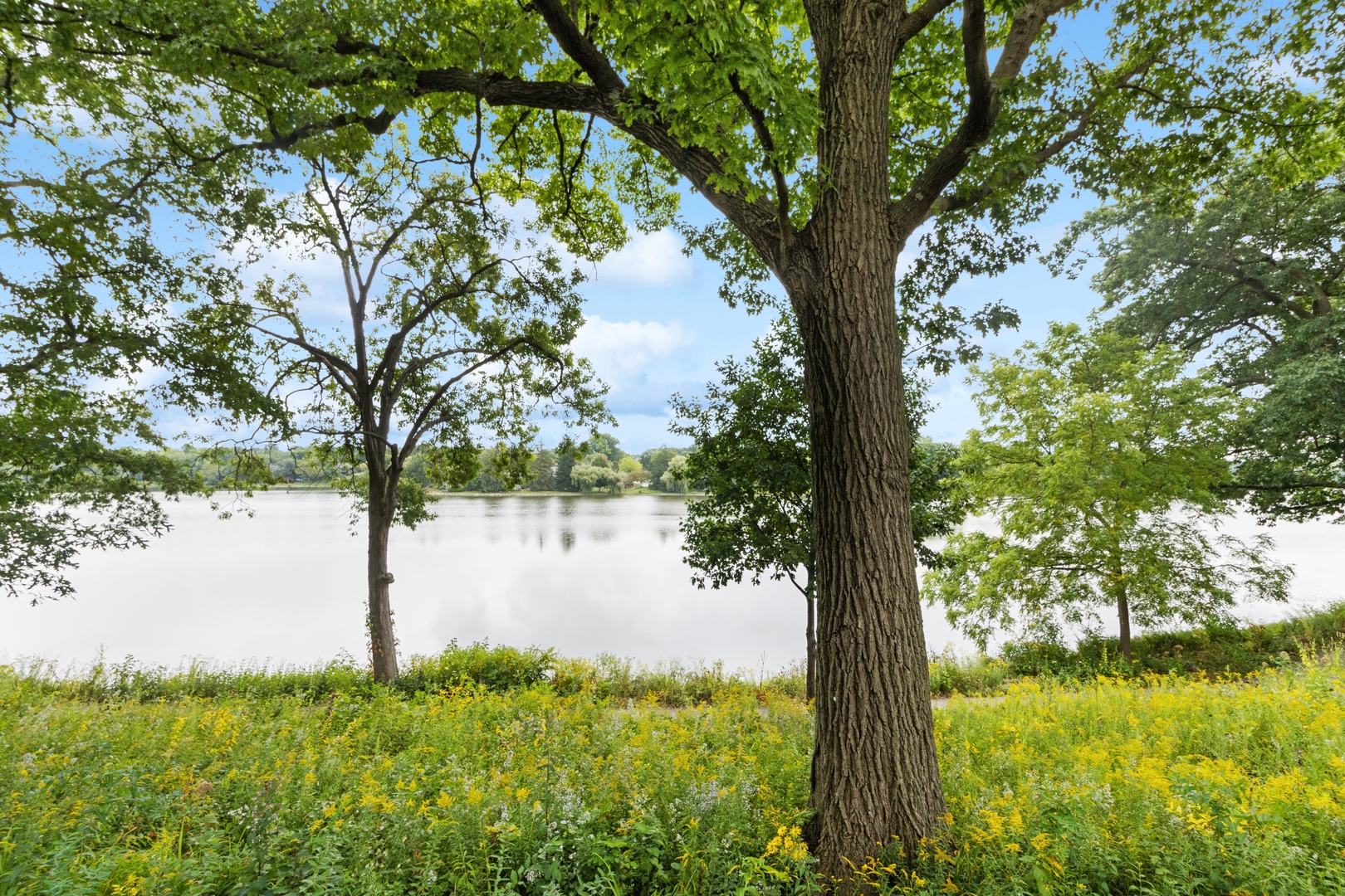 605 Shoreline Road Lake Barrington, IL 60010 - Photo 2 of 43 Gallery Image 2