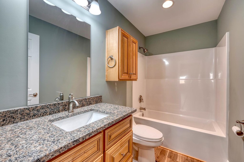 1323 John Smith Road East Blairsville, GA 30512 - Photo 20 of 34 a bathroom with a granite countertop sink toilet and shower