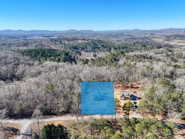 a view of a back yard