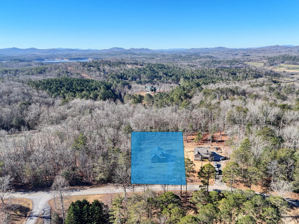 1323 John Smith Road East Blairsville, GA 30512 - Photo 29 of 34 a view of a back yard