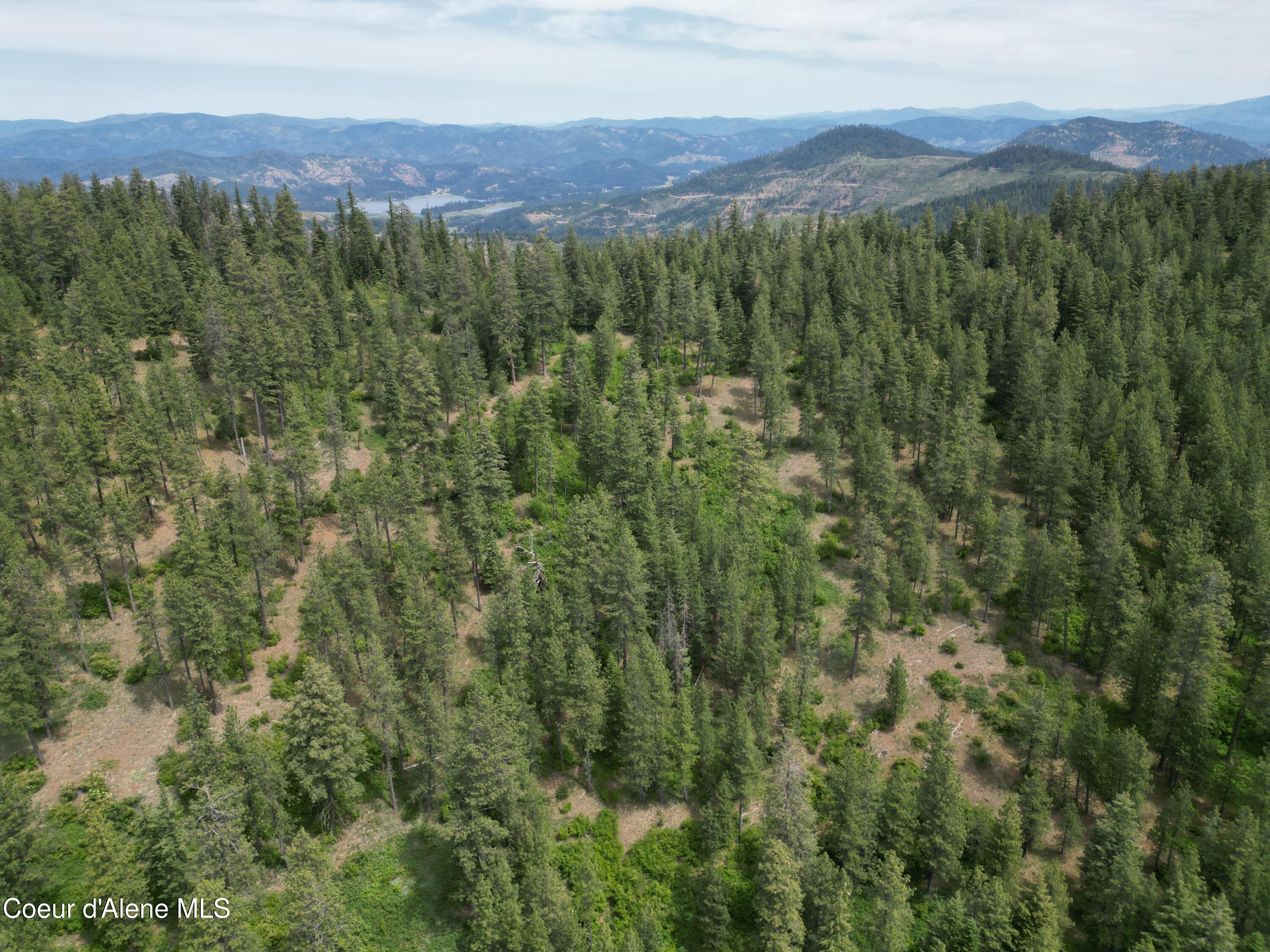 Nka Initial Peak Road Cataldo, ID 83810 - Photo 10 of 18 NKA Initial