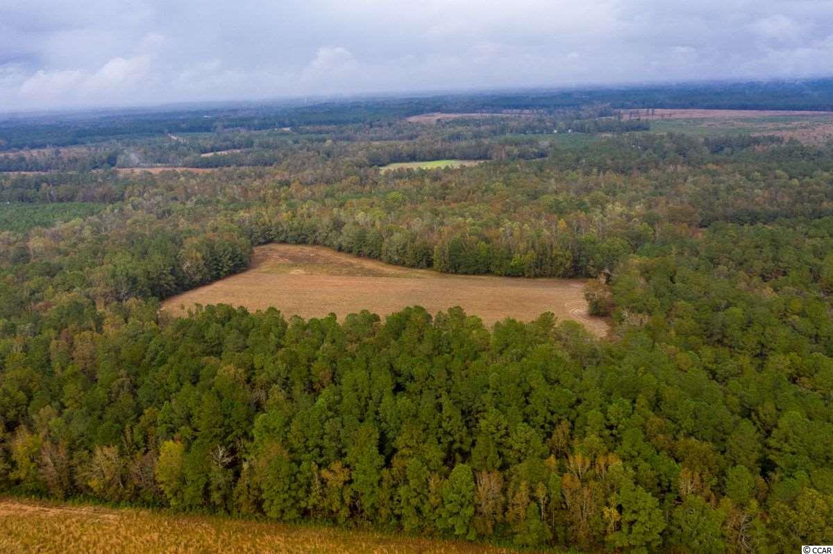 63-acres Hanna Loop Hemingway, SC 29554 - Photo 3 of 27 Gallery Image 3