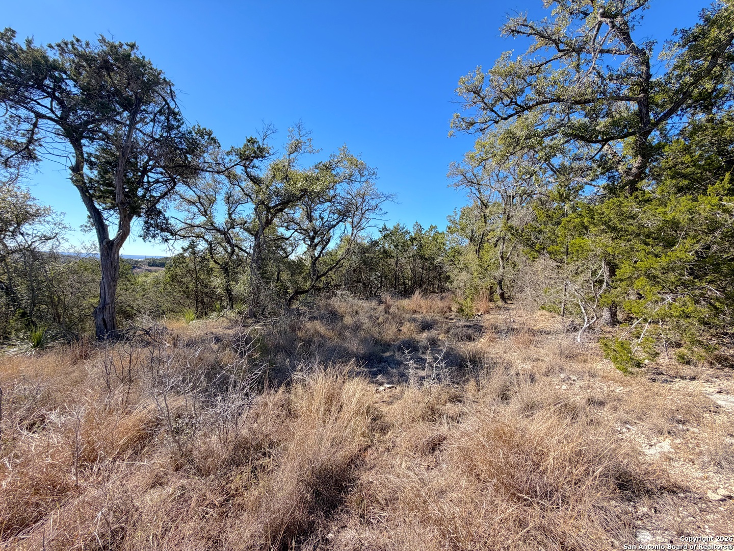 1178 Primrose Path Spring Branch, TX 78070 - Photo 17 of 22