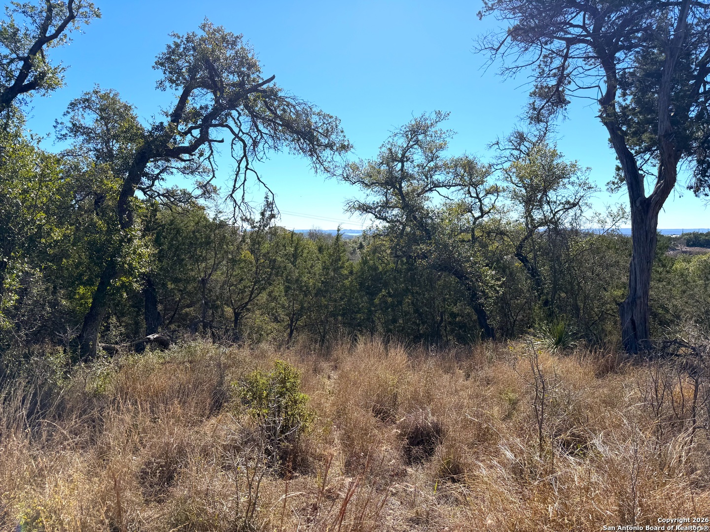 1178 Primrose Path Spring Branch, TX 78070 - Photo 18 of 22