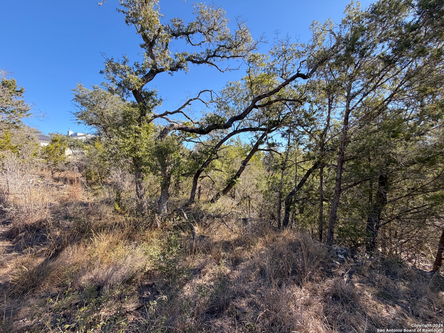 1178 Primrose Path Spring Branch, TX 78070 - Photo 20 of 22