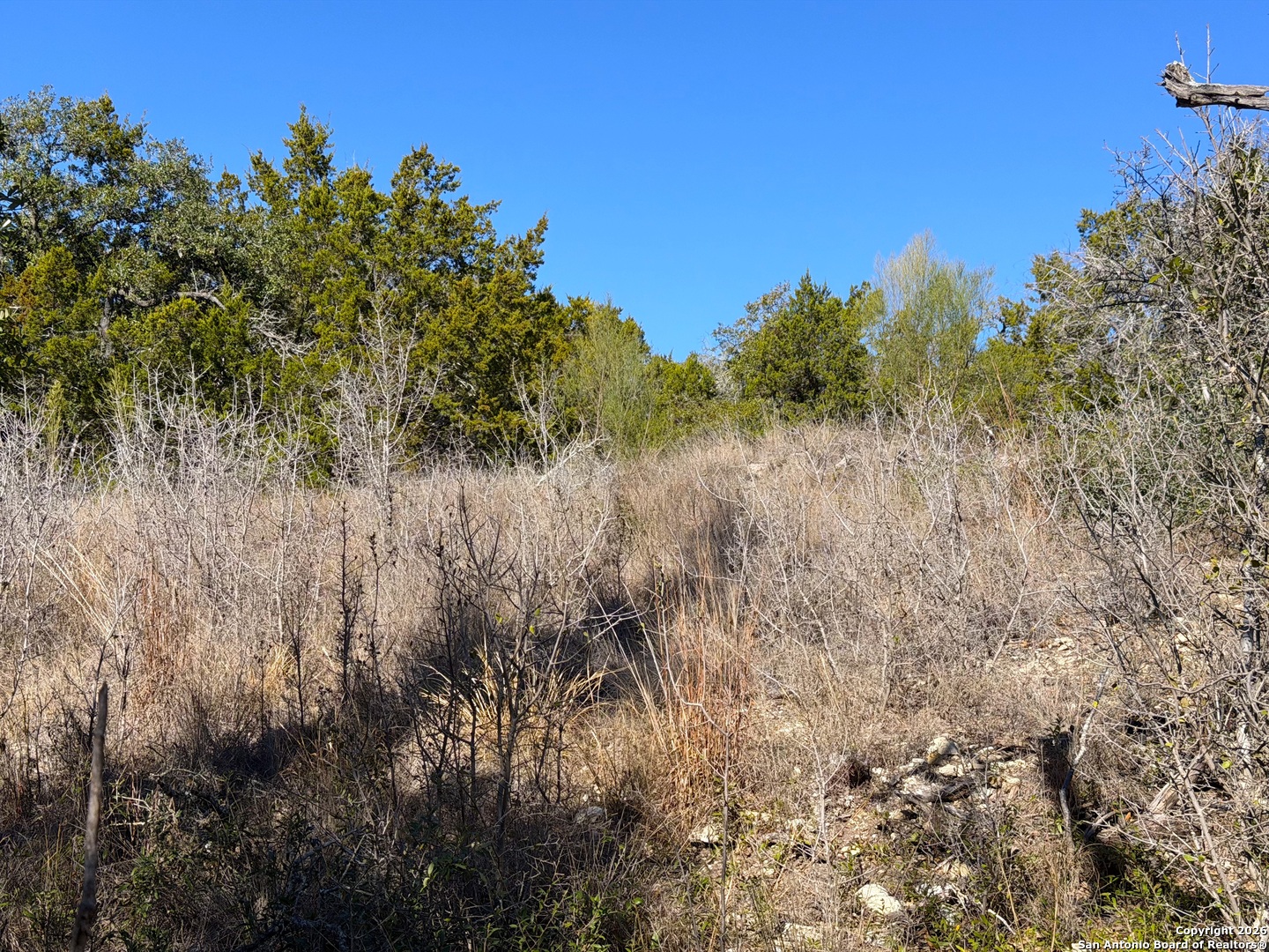 1178 Primrose Path Spring Branch, TX 78070 - Photo 22 of 22