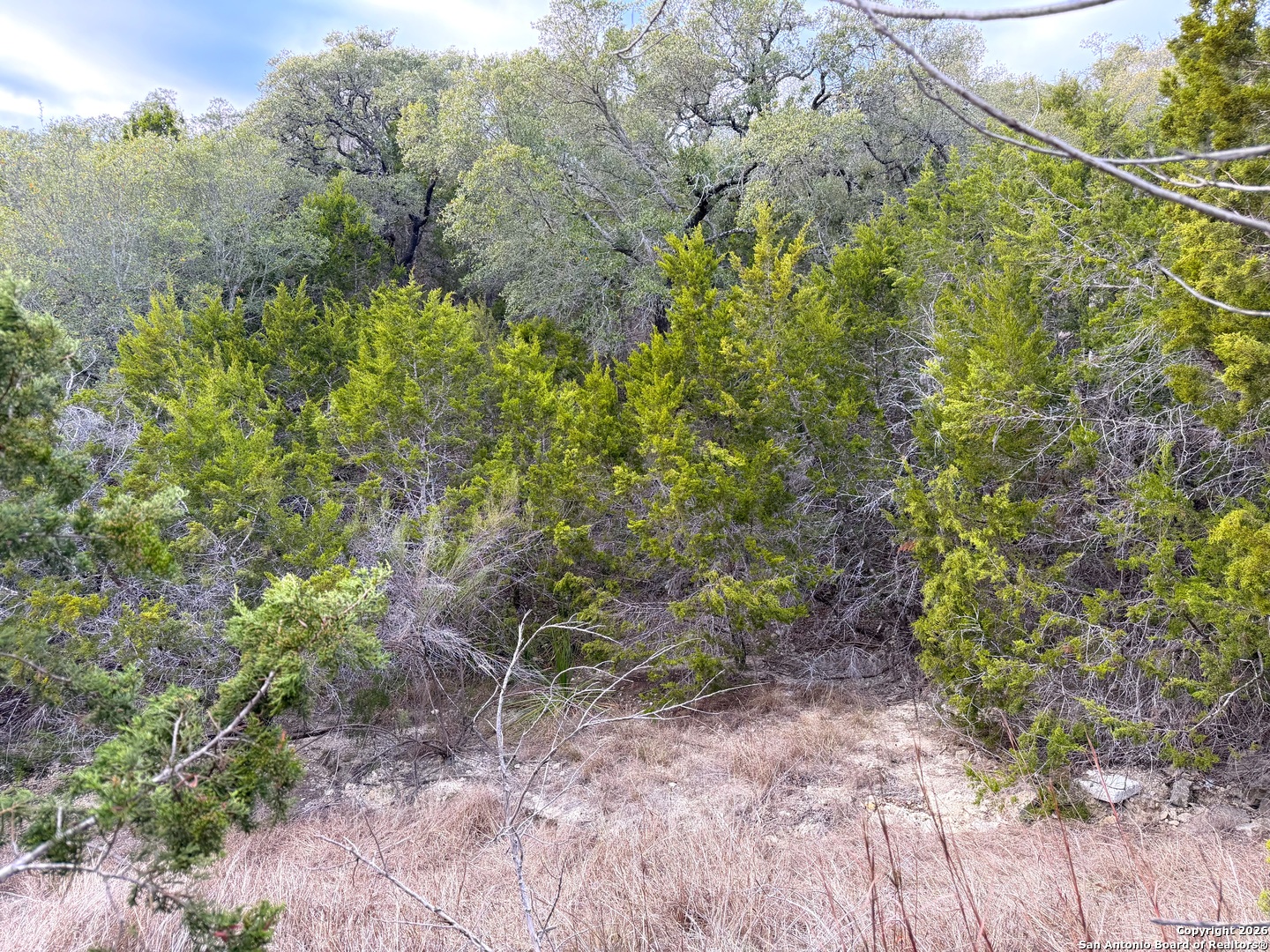 1178 Primrose Path Spring Branch, TX 78070 - Photo 8 of 22