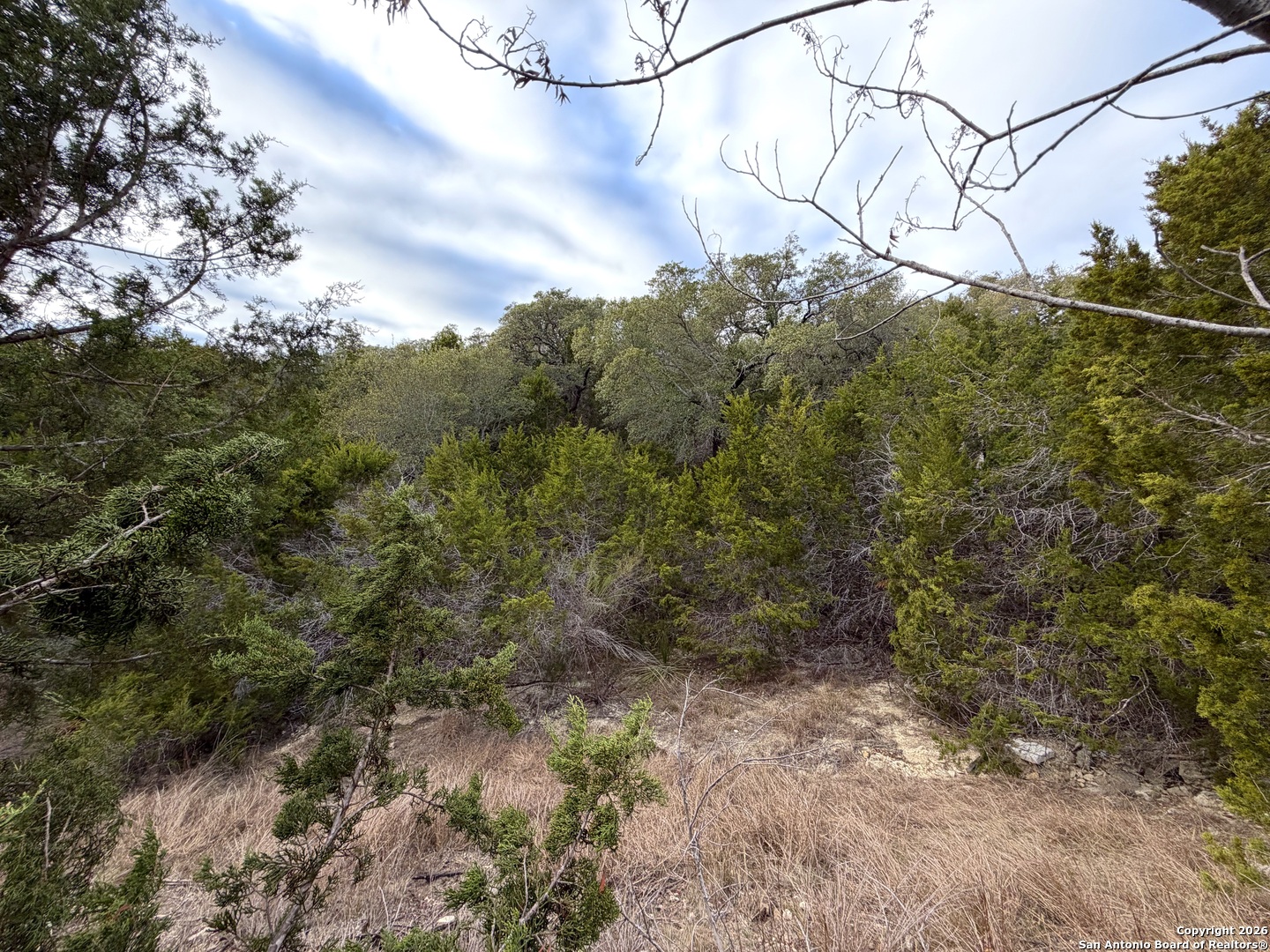 1178 Primrose Path Spring Branch, TX 78070 - Photo 9 of 22