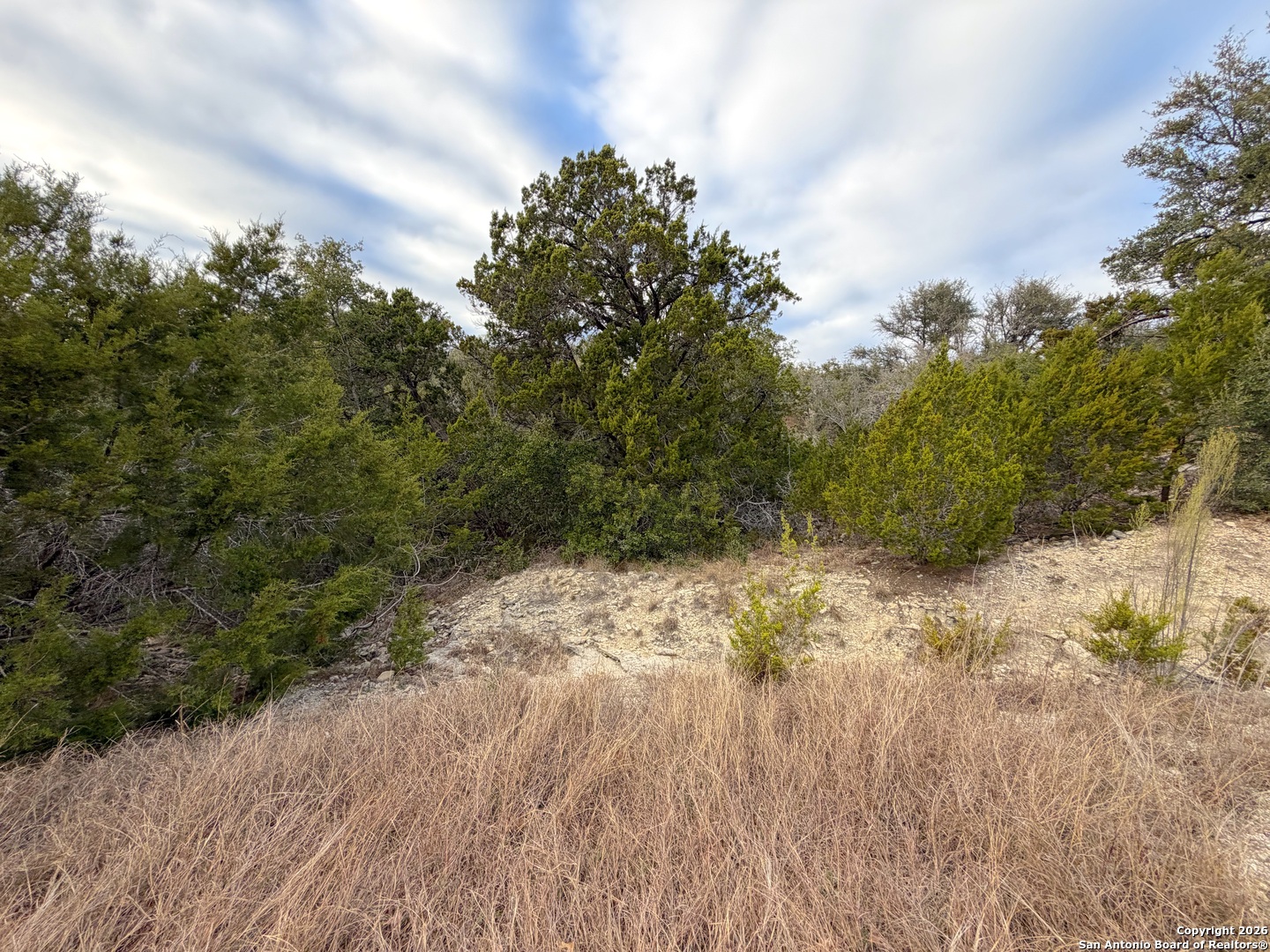 1178 Primrose Path Spring Branch, TX 78070 - Photo 10 of 22