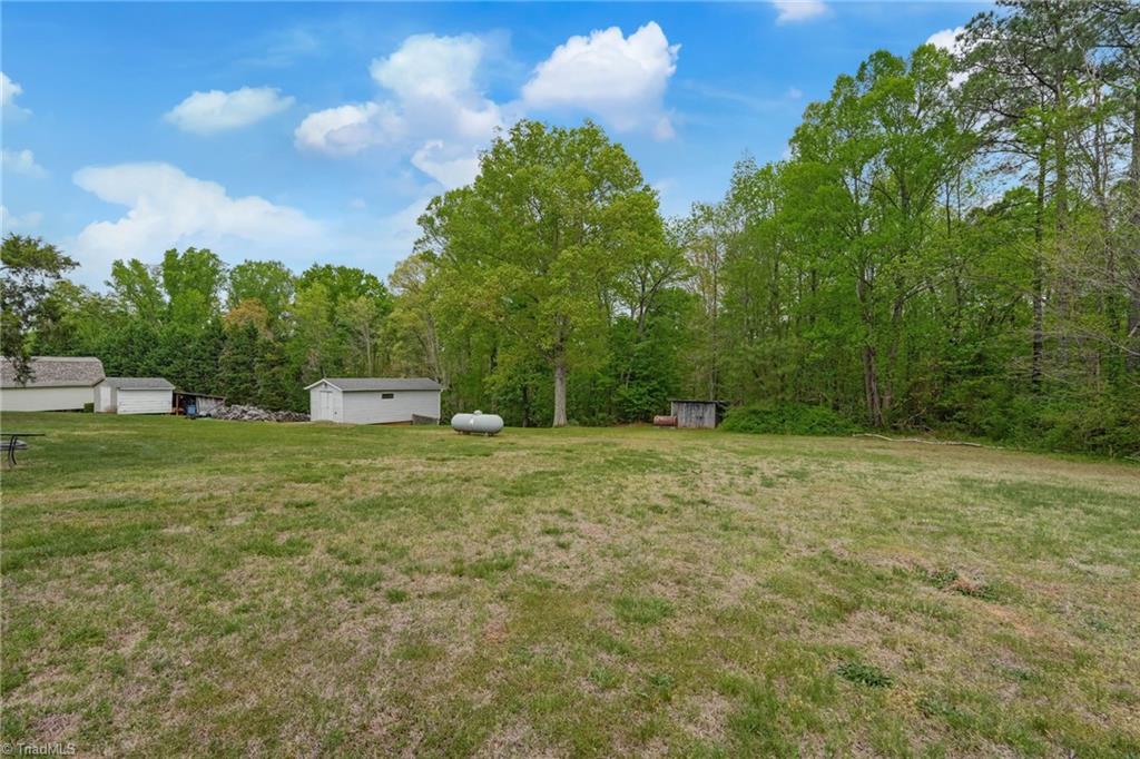 911 Wolf Island Road Reidsville, NC 27320 - Photo 21 of 23 backyard